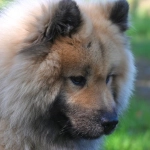 Программы лояльности казино без депозита и игровые бонусы